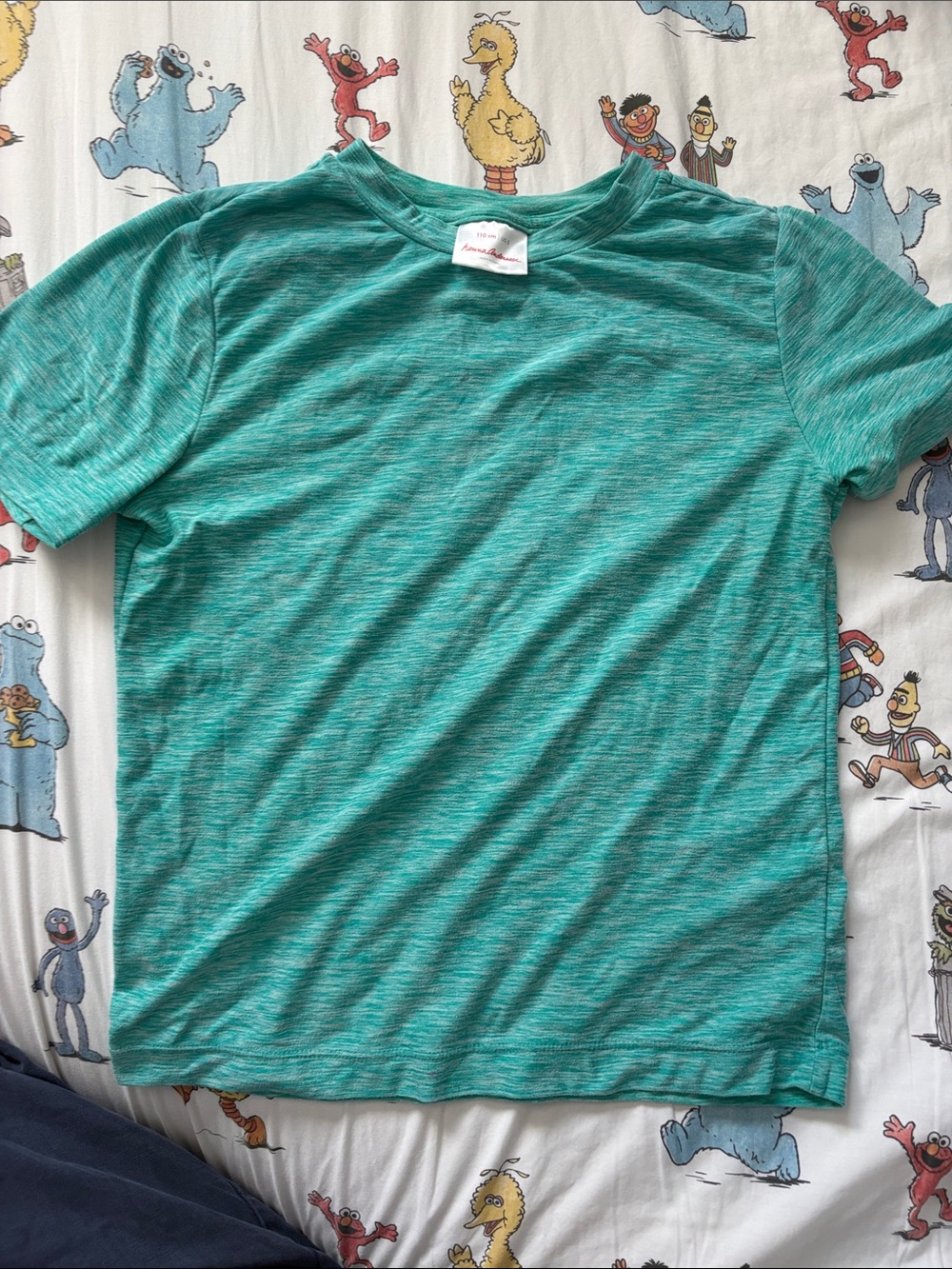Hanna Andersson Teal Heather Short Sleeve Tee